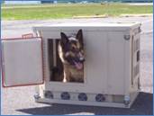 K9 TE Kennel cooling crate